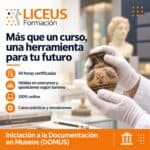 Domus liceus 7